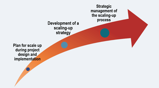 Figure: ExpandNet’s Guides address three key Phases of Systematic Scaling-up